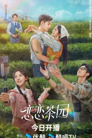 Love in the Tea Garden (2024) รักเกิดในสวนชา (ซับไทย)