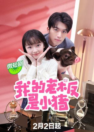 My Piggy Boss (2024) หัวหน้าฉันเป็นหมูน้อย (พากย์ไทย & ซับไทย)