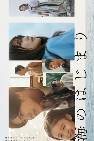 Umi no Hajimari (2024) อ้อมกอดสีคราม (ซับไทย)